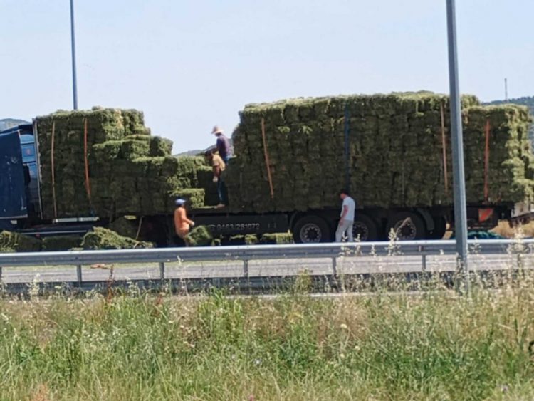 Δέματα από τριφύλλι έφυγαν από καρότσα φορτηγού στην ε.ο. Τρικάλων – Λάρισας το μεσημέρι της Παρασκευής