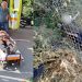 Βολιώτης πήγε να κάνει την ανάγκη του και έπεσε σε χαντάκι (ΒΙΝΤΕΟ)