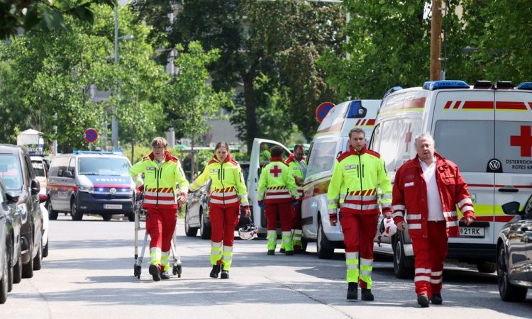 Aυστρία: Μία από τις πιο βαριά οπλισμένες χώρες στην Ευρώπη – 30 πυροβόλα ανά 100 κατοίκους