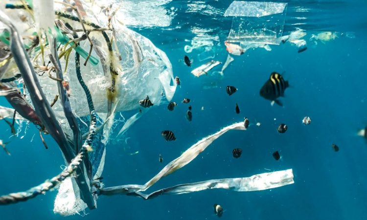 Ιαπωνία: Πλαστικό που διαλύεται εντός ωρών στη θάλασσα δημιούργησαν επιστήμονες στο Τόκιο