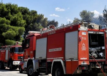 Κάηκε επαγγελματικό βαν έξω από το Καλλιφώνι Καρδίτσας (ΕΙΚΟΝΕΣ)