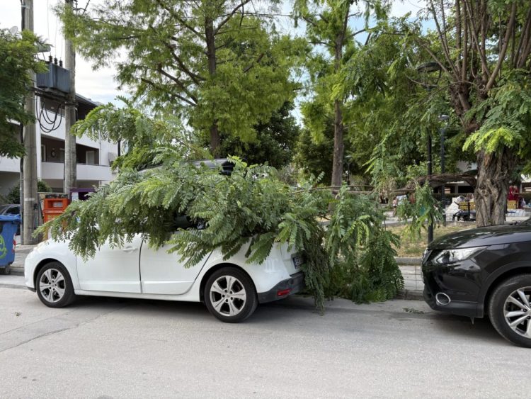 Τμήμα δέντρου έσπασε και πλάκωσε αυτοκίνητο (ΕΙΚΟΝΕΣ)