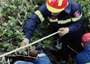 Συναγερμός σε ΕΚΑΒ και πυροσβεστική: Ένα άτομο έπεσε σε γκρεμό σε χωριό της Λάρισας