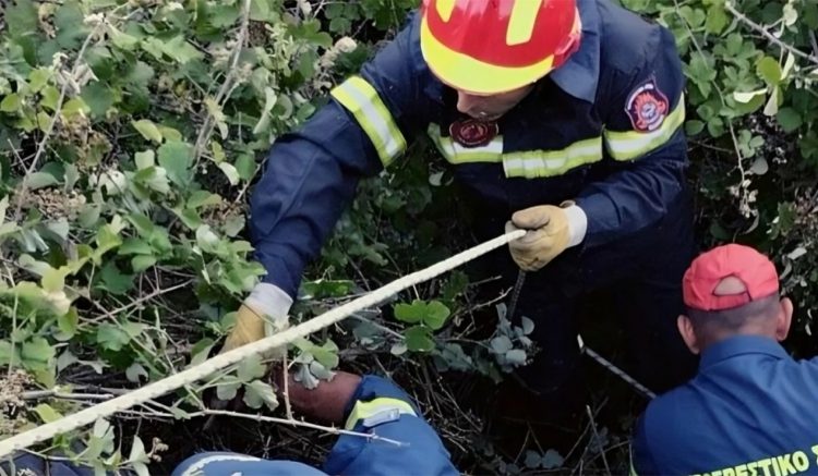 Συναγερμός σε ΕΚΑΒ και πυροσβεστική: Ένα άτομο έπεσε σε γκρεμό σε χωριό της Λάρισας