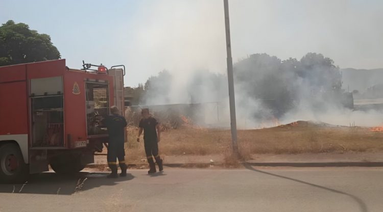 Φωτιά έξω από τη Λάρισα: Απειλήθηκαν κατοικίες – Στο σημείο ισχυρές δυνάμεις της Πυροσβεστικής (ΕΙΚΟΝΕΣ)
