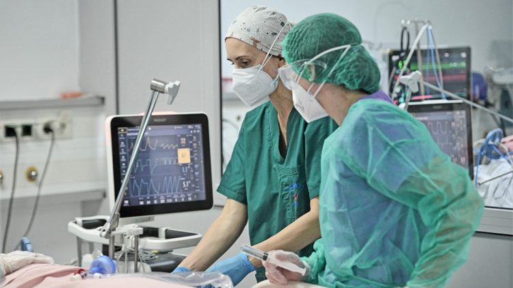 Εγκεφαλικό ανεύρυσμα υπέστη η 18χρονη – Νοσηλεύεται σε εξαιρετικά κρίσιμη κατάσταση στο Πανεπιστημιακό Νοσοκομείο