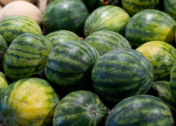 Οι «χρυσοί κανόνες» για να διαλέξετε το καλύτερο καρπούζι