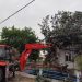 Ζημιές από πτώσεις δέντρων στο Δήμο Παλαμά – Ζημιές και σε καλλιέργειες καλαμποκιού (ΕΙΚΟΝΕΣ)