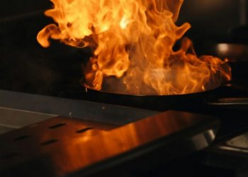 Αυτή τη συσκευή πρέπει να βγάζετε από την πρίζα μετά τη χρήση
