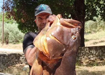 Βολιώτης έκανε τη μεγαλύτερη ψαριά της χρονιάς – Έβγαλε ροφό δεκάδων κιλών (ΕΙΚΟΝΑ)