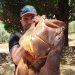 Βολιώτης έκανε τη μεγαλύτερη ψαριά της χρονιάς – Έβγαλε ροφό δεκάδων κιλών (ΕΙΚΟΝΑ)