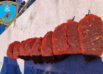 ΣΠΟΡΑΔΕΣ: Εντοπίστηκε σκάφος που είχε αλιεύσει παράνομα 2.600 άτομα αχινού