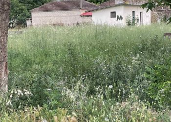 Μιχάλης Μπαγιώτης: Πνίγονται τα χωριά μας στα χόρτα – Κι όμως κάποιοι επιλέγουν τις ύβρεις και τη λάσπη αντί για την ευθύνη