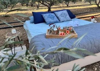 Κρήτη: Τέλος στα all inclusive – Τώρα νοικιάζουν κρεβάτι… μέσα στις ελιές