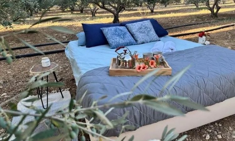Κρήτη: Τέλος στα all inclusive – Τώρα νοικιάζουν κρεβάτι… μέσα στις ελιές