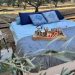 Κρήτη: Τέλος στα all inclusive – Τώρα νοικιάζουν κρεβάτι… μέσα στις ελιές