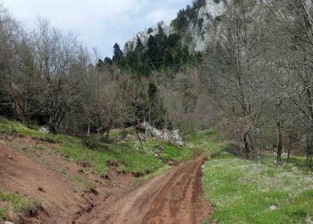 Προστατεύει φυσικό πλούτο και περιουσίες ο Δήμο Μετεώρων