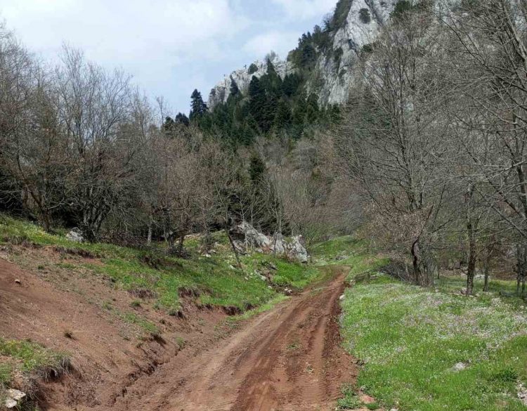 Προστατεύει φυσικό πλούτο και περιουσίες ο Δήμο Μετεώρων