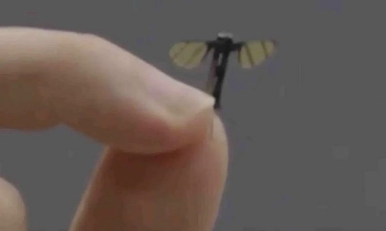 Κίνα: Λανσάρει κατασκοπευτικά drones που μοιάζουν με… κουνούπι