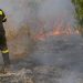 Στο πόδι η Σκιάθος από μεγάλη φωτιά (ΒΙΝΤΕΟ)