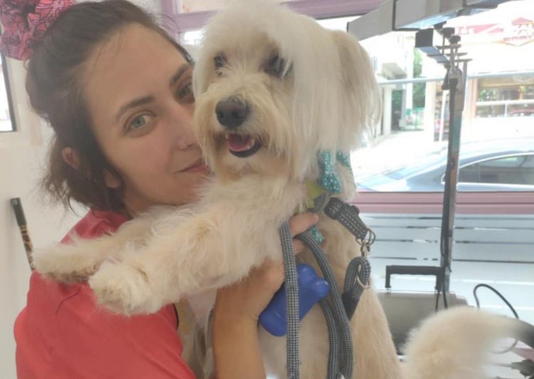 Πατουσάκια… και χαμόγελα!-Το πιο γλυκό pet grooming της πόλης μόλις άνοιξε στα Τρίκαλα