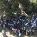 Με συμμετοχή άνω των 2.500 Χασιωτών και επισκεπτών η 1η Γιορτή Προβατίνας στον Γάβρο