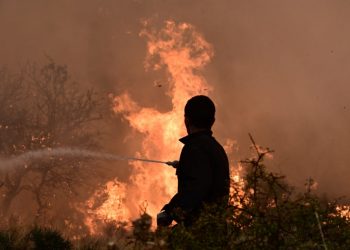 Πρόστιμο …φωτιά στην κυριολεξία – Η ιδέα του να κάψει ξερά χόρτα του …άδειασε τις τσέπες