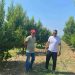 Σε απόγνωση αγρότης που είδε το περιβόλι του «γυμνό» – Η μεγάλη κλοπή και η τεράστια ζημιά – Τι λέει ο ίδιος (ΕΙΚΟΝΕΣ – ΒΙΝΤΕΟ)
