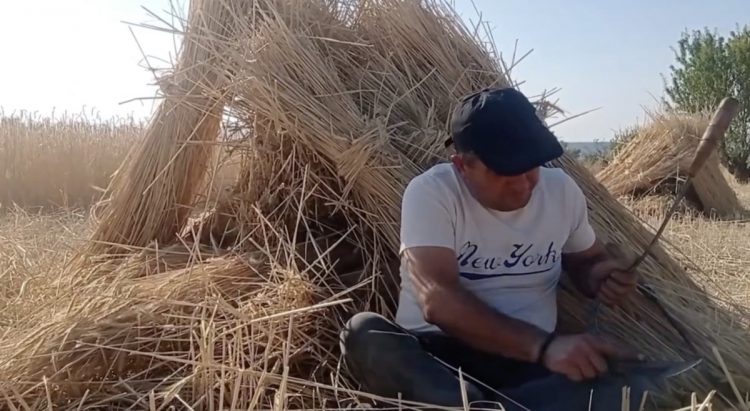 Δείτε βίντεο: Ο τελευταίος σαγματοποιός κρατά ζωντανή μια τέχνη αιώνων
