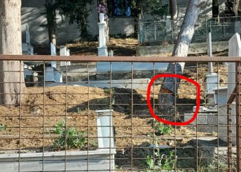 Κίνδυνος σε κοιμητήριο – Άφησαν πεύκο μισοκομμένο, φοβούνται για ατύχημα οι κάτοικοι!