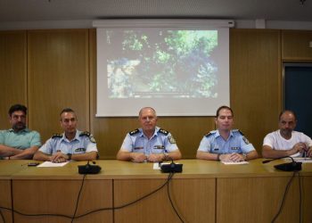Επιχείρηση «μαμούθ» της Δίωξης Ναρκωτικών – Εντοπίστηκε αριθμός ρεκόρ δενδρυλλίων κάνναβης (ΕΙΚΟΝΕΣ – ΒΙΝΤΕΟ)