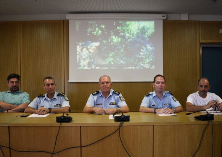 Επιχείρηση «μαμούθ» της Δίωξης Ναρκωτικών – Εντοπίστηκε αριθμός ρεκόρ δενδρυλλίων κάνναβης (ΕΙΚΟΝΕΣ – ΒΙΝΤΕΟ)