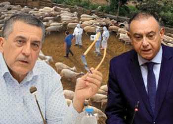 Αιχμηρότατος Κουρέτας για Κέλλα με αφορμή την ευλογιά: “Τα αιτήματα δεν απαντήθηκαν – Ίσως ο υφυπουργός να μην έχει τη δύναμη…”