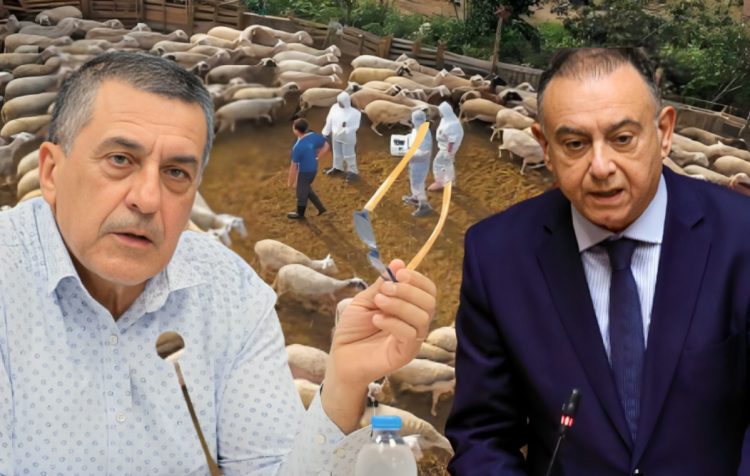 Αιχμηρότατος Κουρέτας για Κέλλα με αφορμή την ευλογιά: “Τα αιτήματα δεν απαντήθηκαν – Ίσως ο υφυπουργός να μην έχει τη δύναμη…”