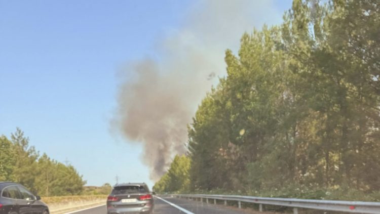 Πυκνοί καπνοί έξω από τη Λάρισα – Σε συναγερμό η Πυροσβεστική (ΕΙΚΟΝΕΣ – ΒΙΝΤΕΟ)