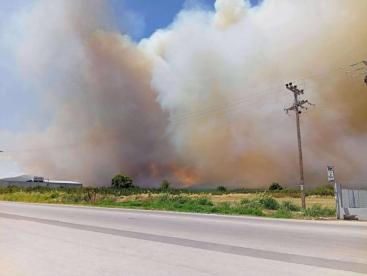 Συναγερμός στην Πυροσβεστική για μεγάλη φωτιά στην περιοχή της Αγιάς – Σηκώθηκαν έξι εναέρια μέσα – Μήνυμα 112 στους κατοίκους (ΕΙΚΟΝΕΣ – ΒΙΝΤΕΟ)