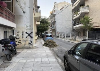 Το δέντρο που …πάρκαρε παράνομα σε θέση στάθμευσης δέκα μέρες τώρα και μάλιστα χωρίς …κλήση (ΕΙΚΟΝΕΣ)