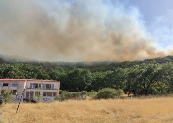 Ισχυρές δυνάμεις σε μεγάλη δασική πυρκαγιά στην περιοχή του Καλλιθήρου (ΕΙΚΟΝΕΣ – ΒΙΝΤΕΟ)