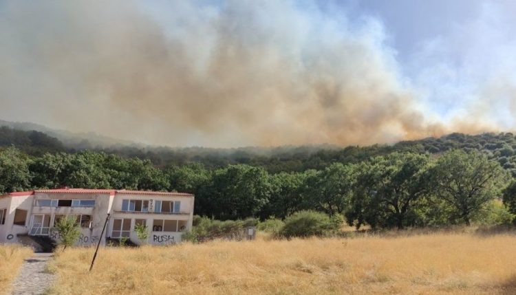 Ισχυρές δυνάμεις σε μεγάλη δασική πυρκαγιά στην περιοχή του Καλλιθήρου (ΕΙΚΟΝΕΣ – ΒΙΝΤΕΟ)