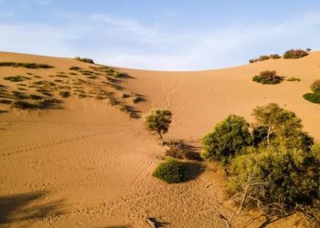 Για sand boarding στις Αμμοθίνες της Λήμνου – Η ελληνική Σαχάρα που μαγεύει τους επισκέπτες