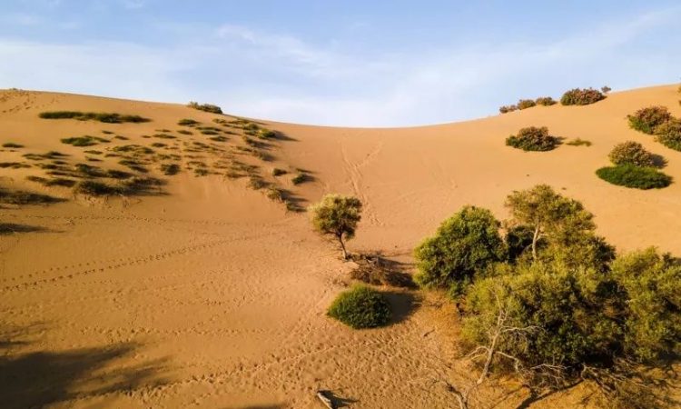 Για sand boarding στις Αμμοθίνες της Λήμνου – Η ελληνική Σαχάρα που μαγεύει τους επισκέπτες