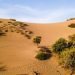Για sand boarding στις Αμμοθίνες της Λήμνου – Η ελληνική Σαχάρα που μαγεύει τους επισκέπτες
