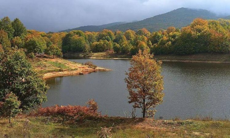 Οι υδάτινοι θησαυροί των Μετεώρων – Το φυσικό πλεονέκτημα των δασών και των λιμνών – Εικόνες