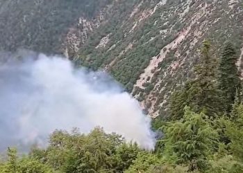 Δασική πυρκαγιά στα Κουμπουριανά Καρδίτσας – Τέθηκε υπό έλεγχο με τη συνδρομή ελικοπτέρου (ΕΙΚΟΝΕΣ – ΒΙΝΤΕΟ)
