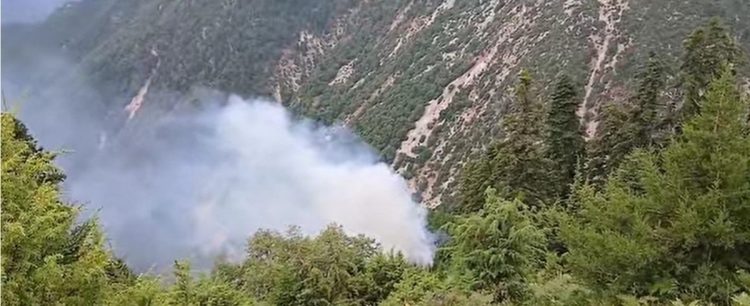 Δασική πυρκαγιά στα Κουμπουριανά Καρδίτσας – Τέθηκε υπό έλεγχο με τη συνδρομή ελικοπτέρου (ΕΙΚΟΝΕΣ – ΒΙΝΤΕΟ)
