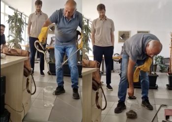 Απίστευτο περιστατικό – Φίδι εντοπίστηκε μέσα σε γραφείο! (ΒΙΝΤΕΟ)