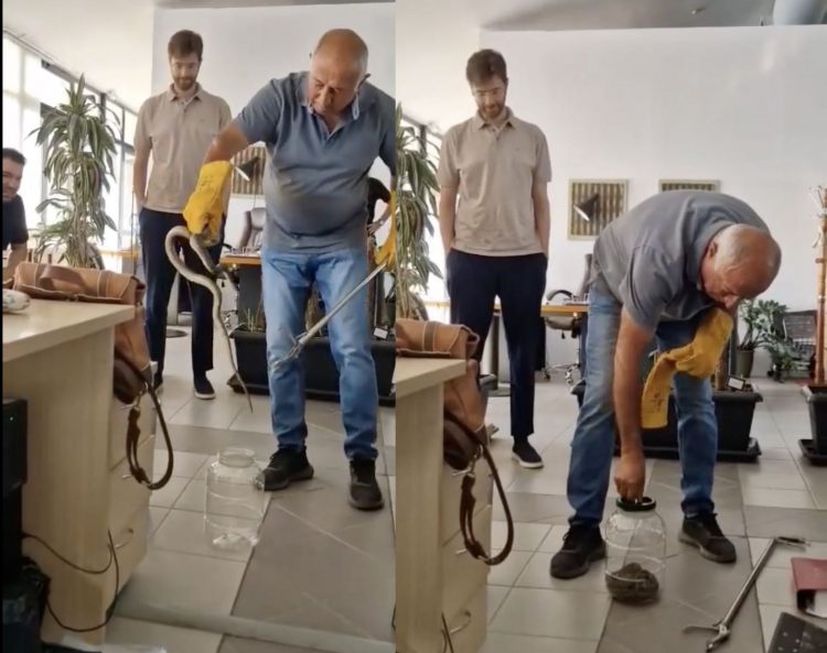 Απίστευτο περιστατικό – Φίδι εντοπίστηκε μέσα σε γραφείο! (ΒΙΝΤΕΟ)