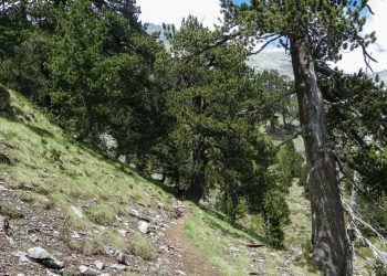 Όλυμπος: Αίσιος τέλος στην επιχείρηση διάσωσης τραυματισμένης γυναίκας