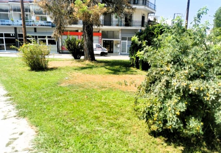 Συνεχίζεται ο ευπρεπισμός πλατειών στα Τρίκαλα