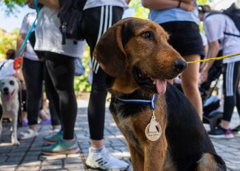Το 4ο Penny Marathon έρχεται στην Καλαμπάκα